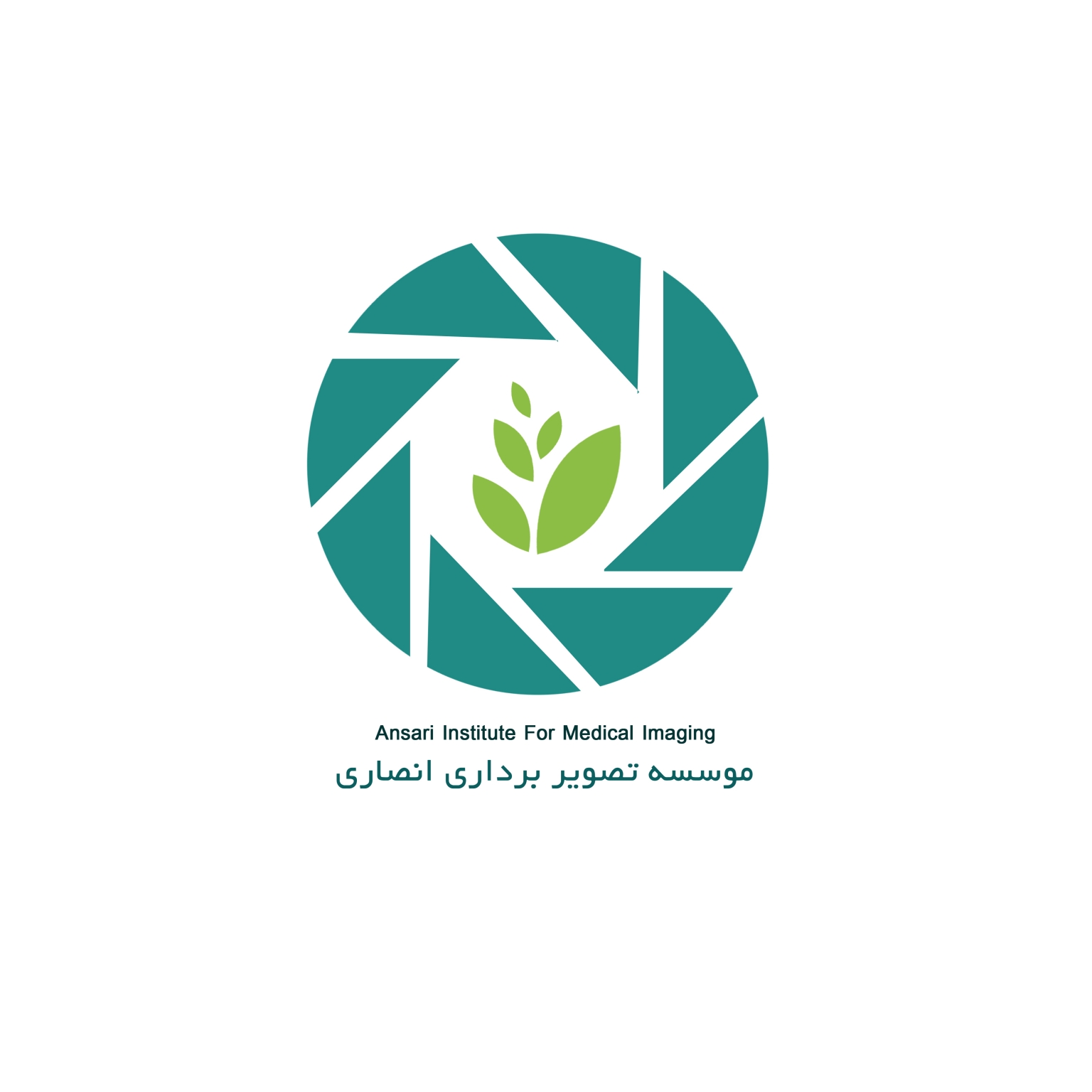 مرکز تصویربرداری پزشکی انصاری در لارستان